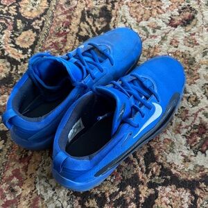 Nike Royal Blue Mesh Running Sneakers with White Swoosh